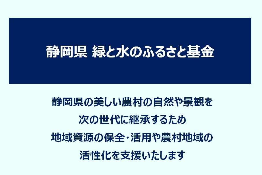 202009B基金