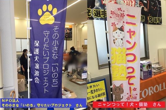 いのちプロジェクト犬猫塾
