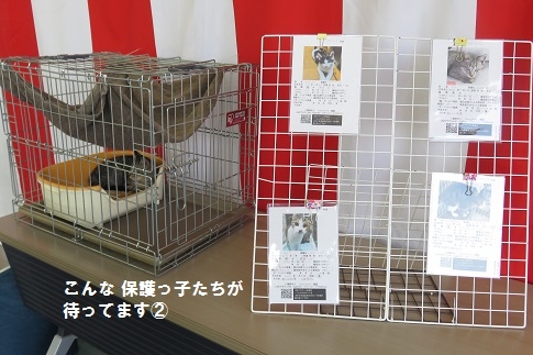 20201121保護っ子②