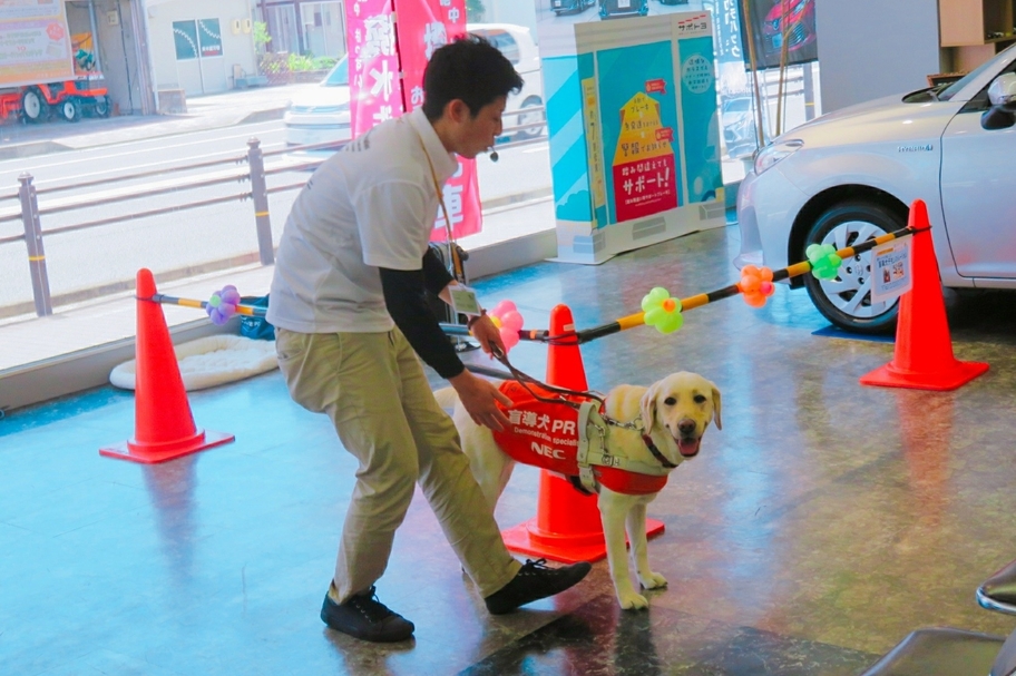盲導犬