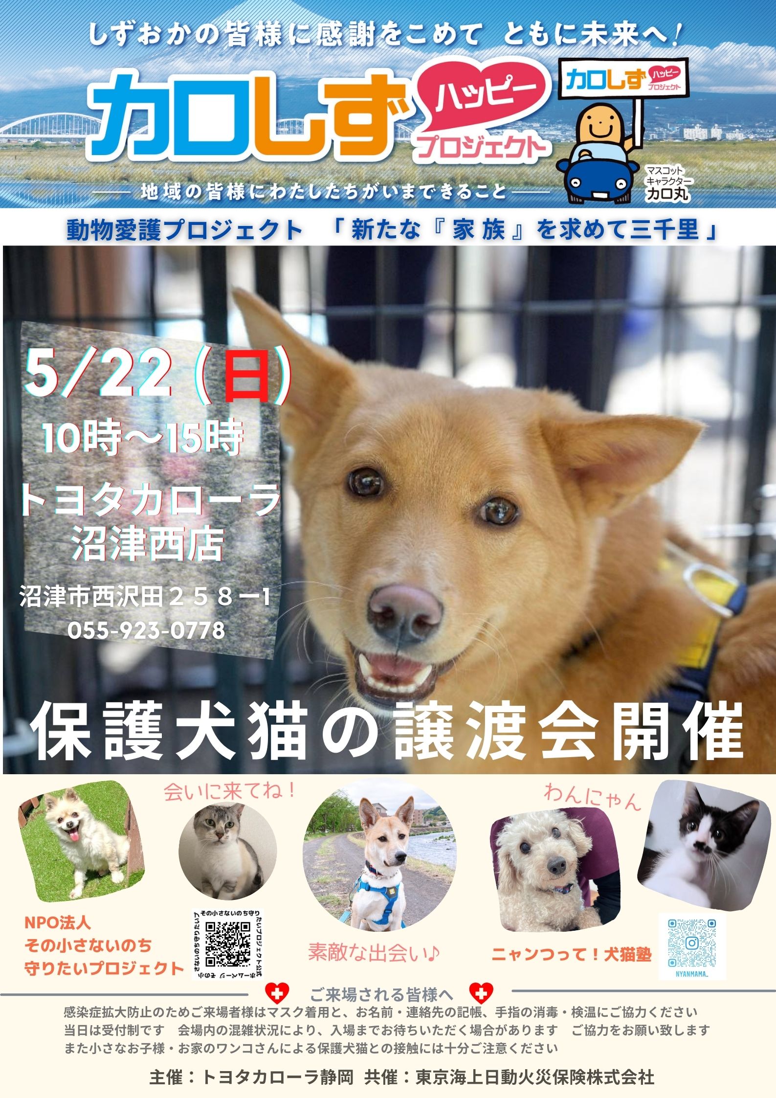 新たな家族を求めて三千里チラシ | 【公式】トヨタカローラ静岡