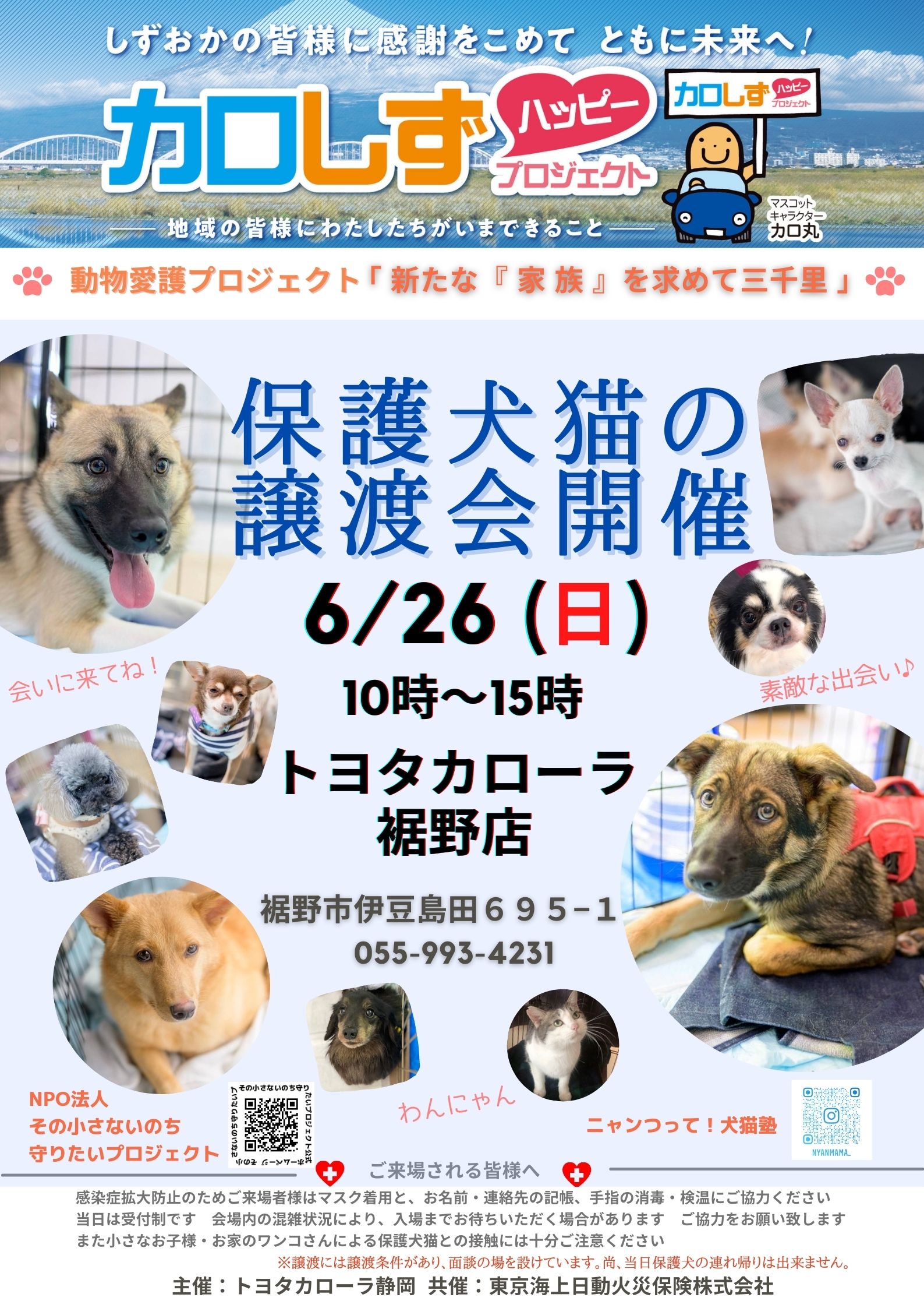 新たな家族を求めて三千里チラシ | 【公式】トヨタカローラ静岡