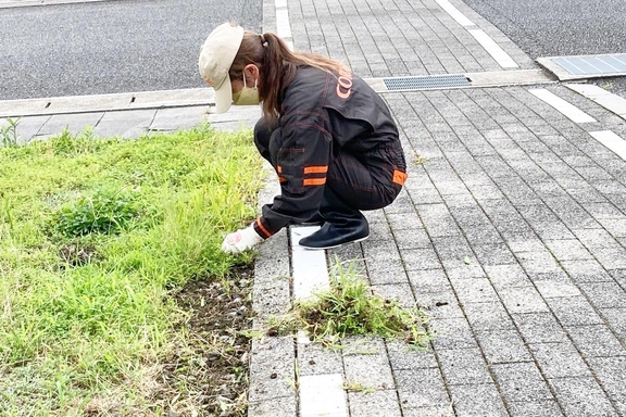 草刈り６