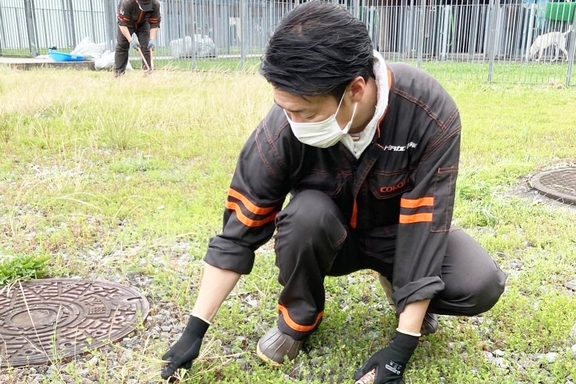 草刈り３