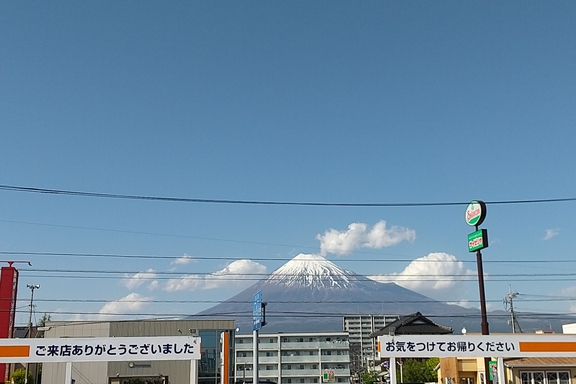 DSC_0018 (1)