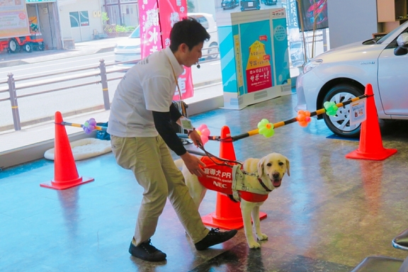 盲導犬