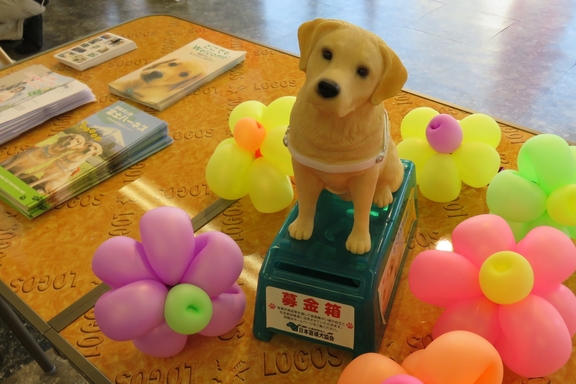 盲導犬