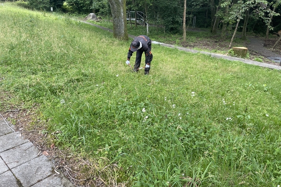 富士ハーネス