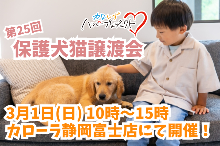 保護犬猫譲渡会