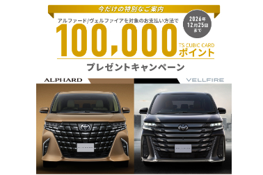 アルヴェルキャンペーン