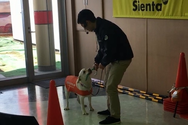 20190223盲導犬